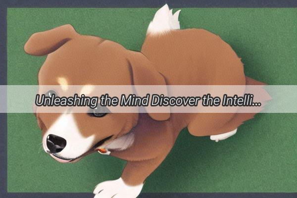 Unleashing the Mind Discover the Intelligence of My FourLegged Genius